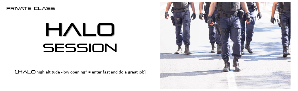 halo_session